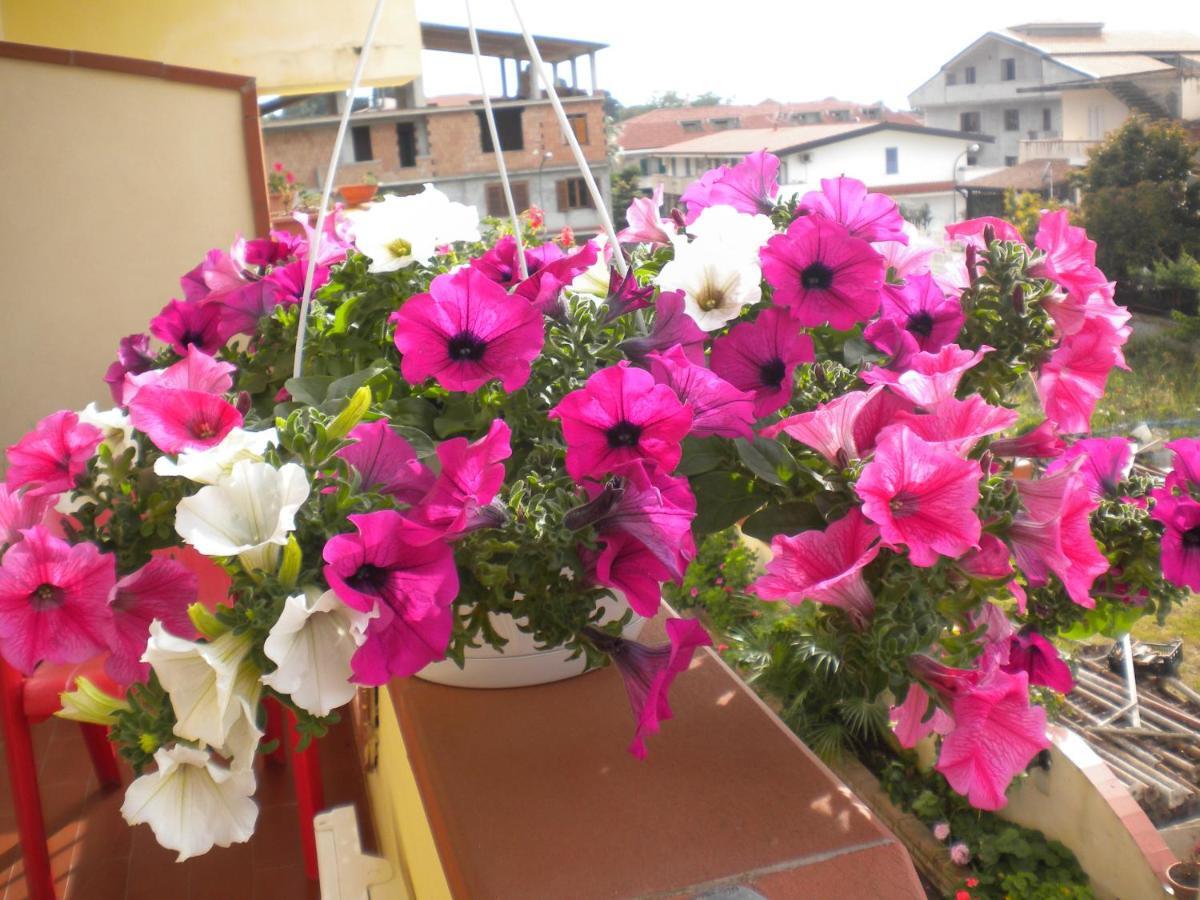 Riaci B&B Del Sole Tropea מראה חיצוני תמונה